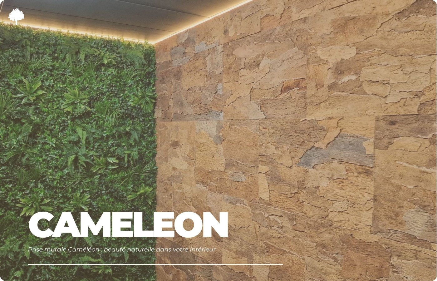 Cameleon vgstik: naturlig sknhed i dit interir