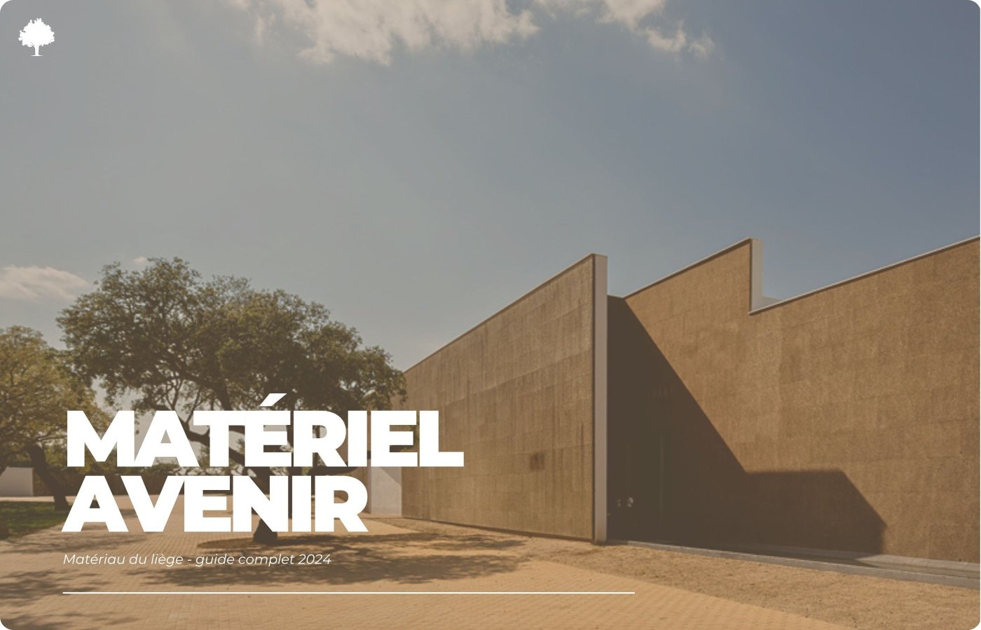 Korkmateriale - komplet guide 2024