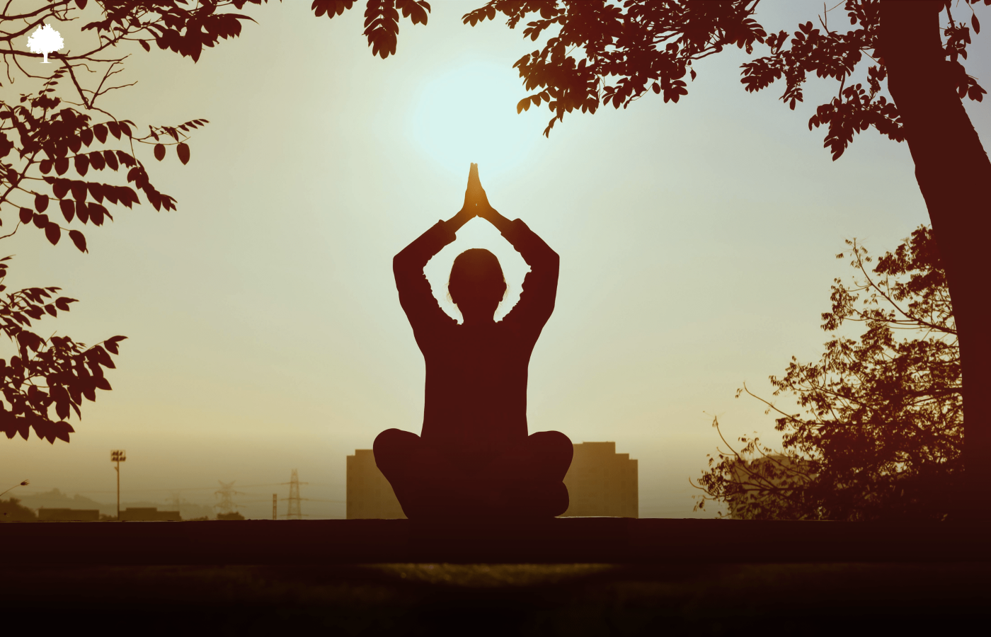 Joga mājās  kas patieām noderēs un kas tikai krās putekļus?