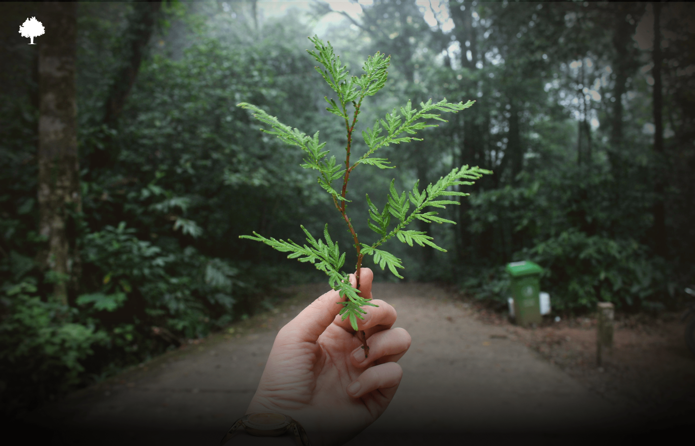 Eko im Jahr 2025: Trend, Verantwortung oder Marketing? Wir klren auf