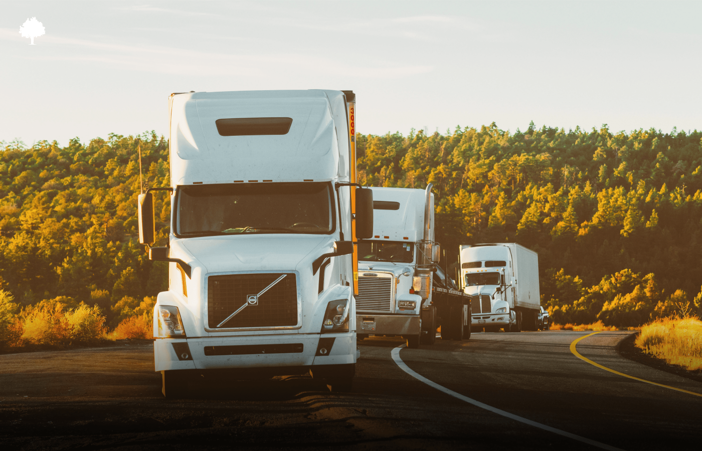 Tipps zum sicheren Transport von Glas