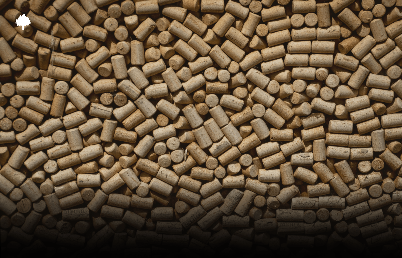 Eine Legende rund um Kork, die schon lange existiert und nach wie vor zu Missverstndnissen fhrt.