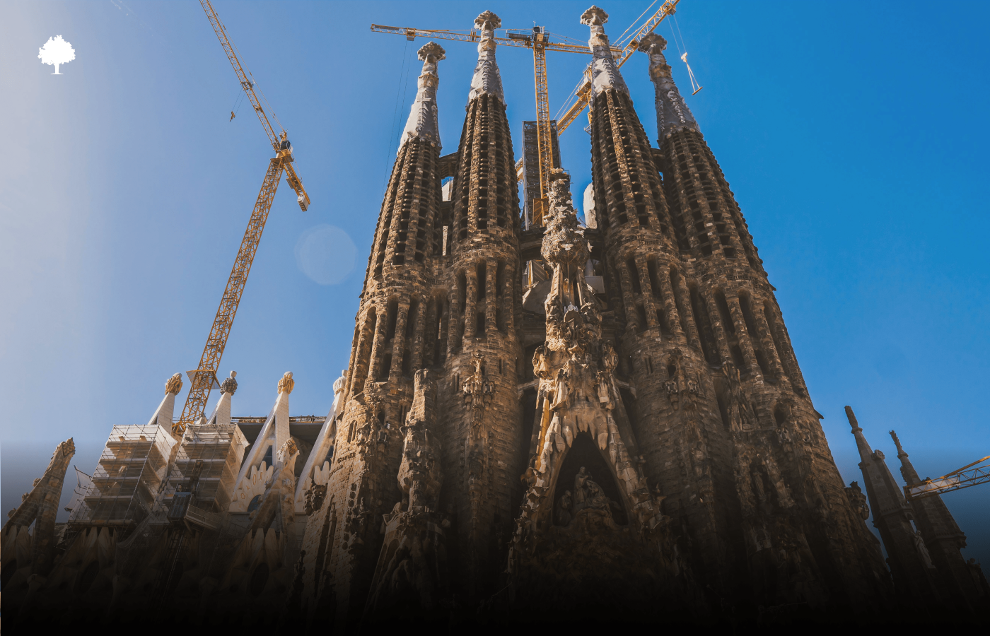 Was befindet sich unter Gauds Fen? Ein Blick auf den Bodenbelag der Krypta der Sagrada Famlia.