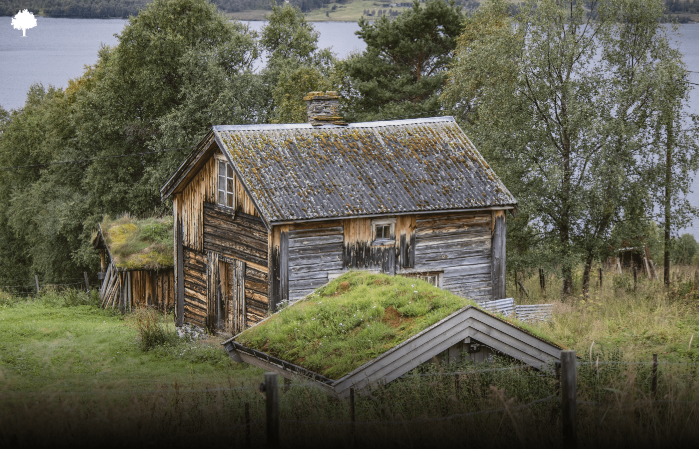 Kolde vgge, varme regninger  hvorfor bruger dit hjem mere energi, end det burde?