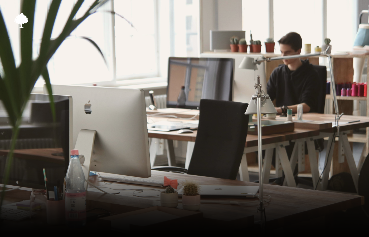 Einer der Top-Fehler beim Brodesign 2025 (und Wege, ihn zu umgehen)