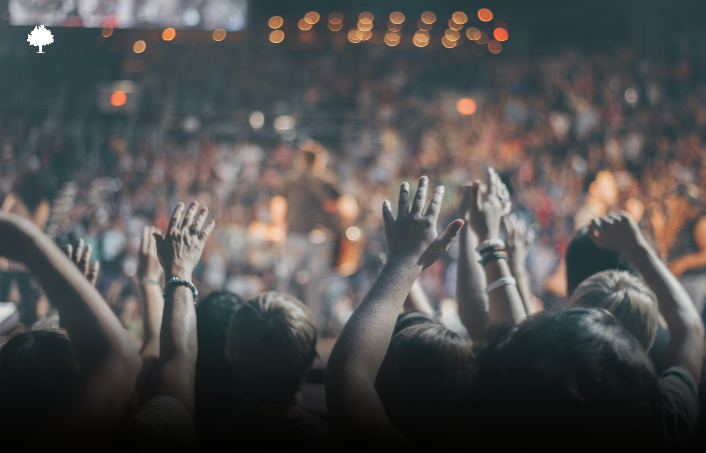 Konzert, Bildschirm, Romantik  das Internet tobte, doch verga es