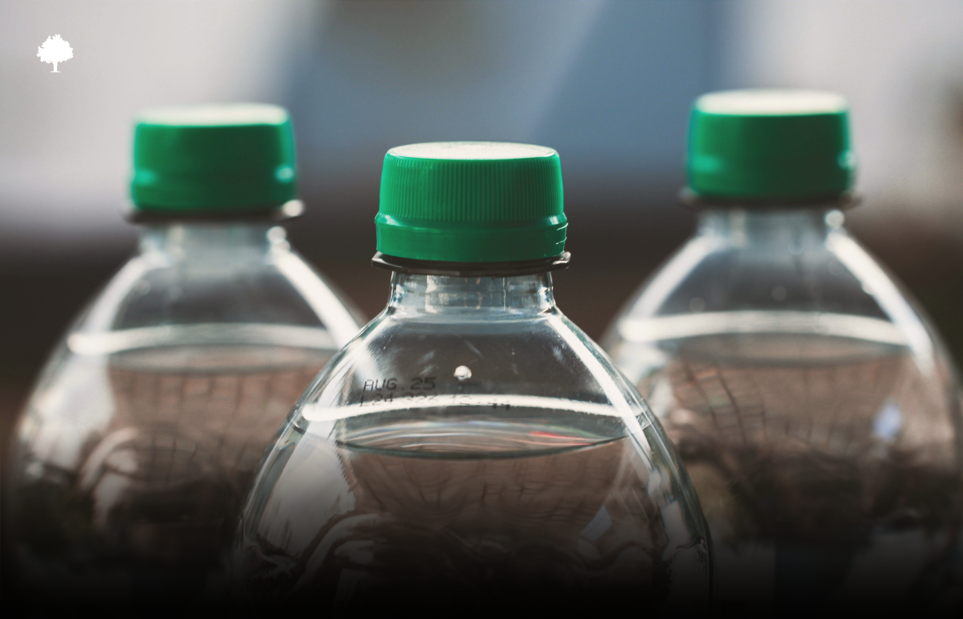Does the bottle deposit system really work? Discover its pros and cons