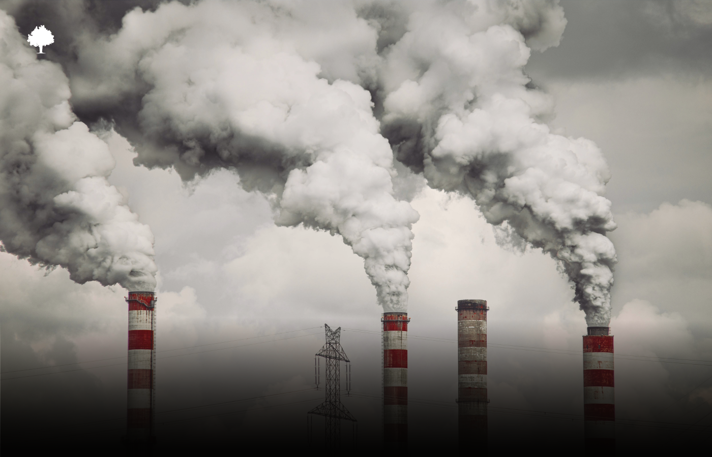 A negative carbon footprint sounds impressive, but what does it actually mean?