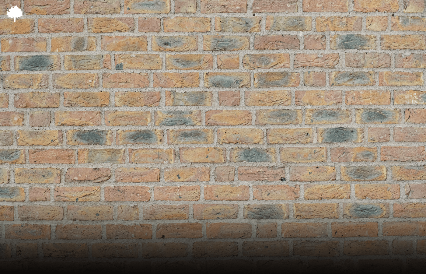 Man kan hre alt gennem denne vg!  hvorfor er bygninger blevet drligere lydisoleret?