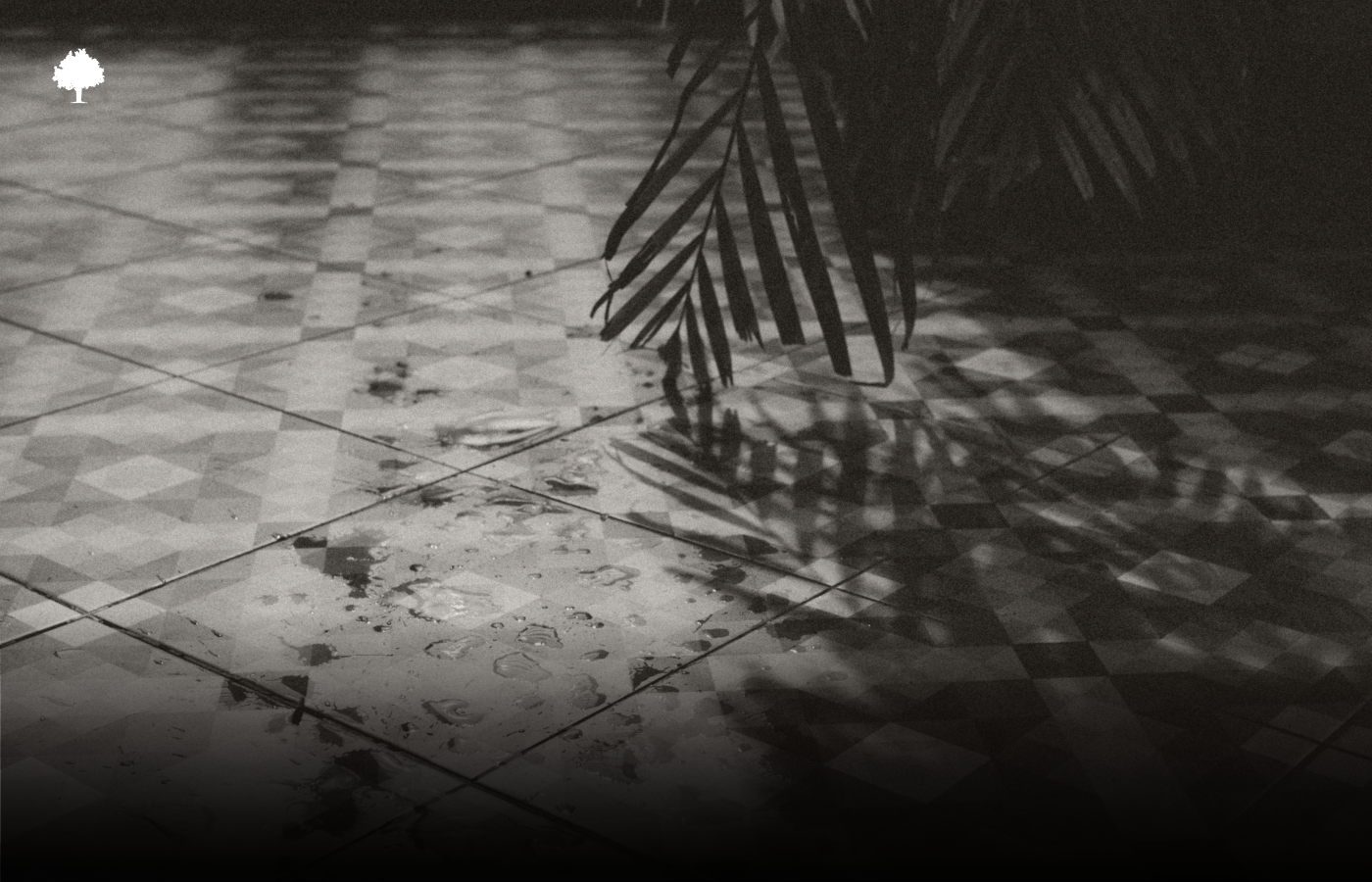 Un support humide sous le plancher  comment viter la catastrophe ?