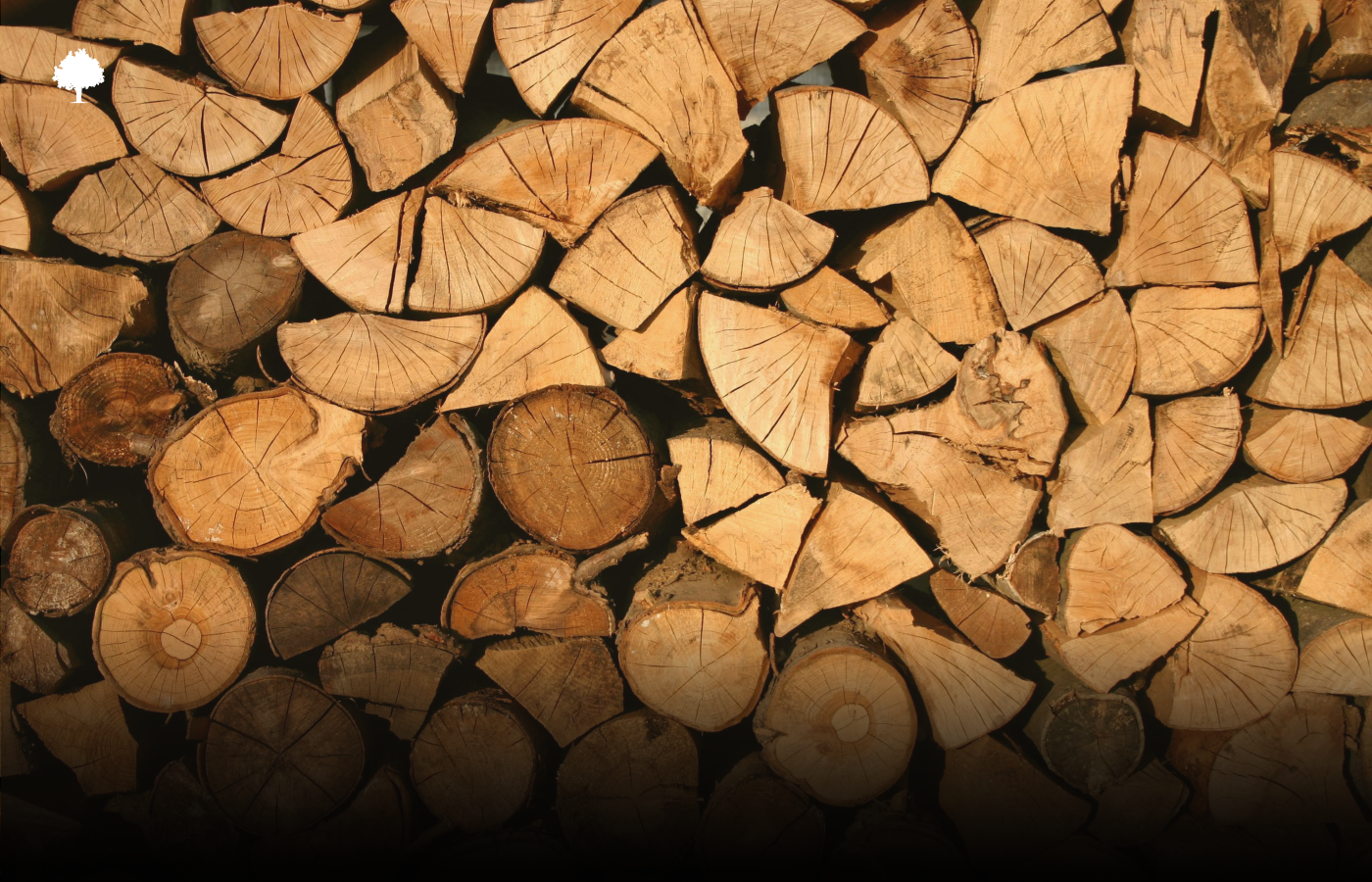 Koksne = videi draudzīga? Tā ir tikai puse patiesības