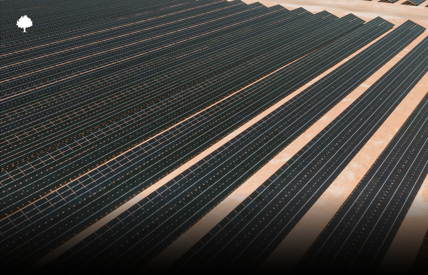 De grootste uitstoter ter wereld remt emissies dankzij hernieuwbare energie. Wat nu?