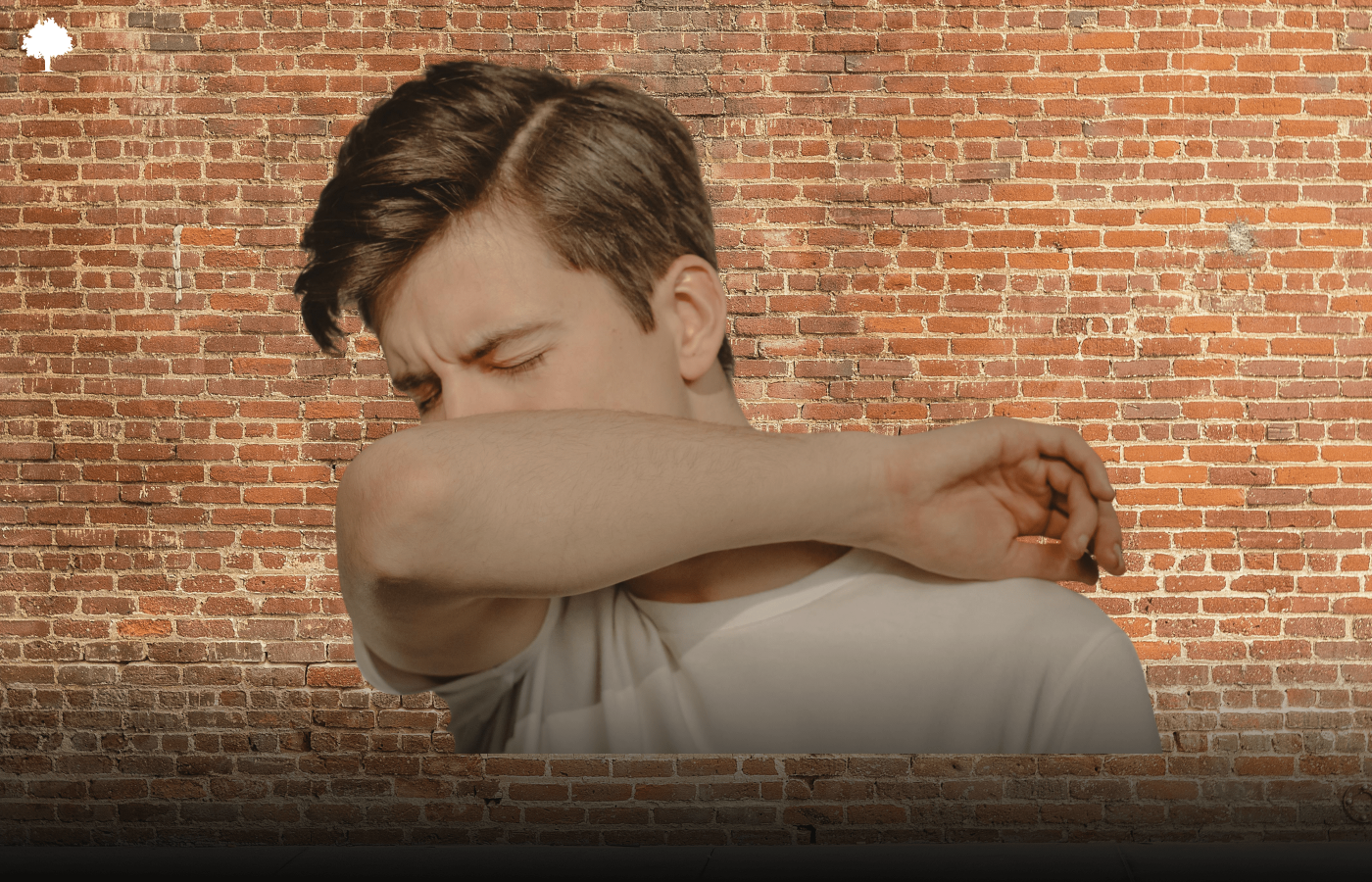 Hvordan isolerer man sit hus for at mindske risikoen for allergi?