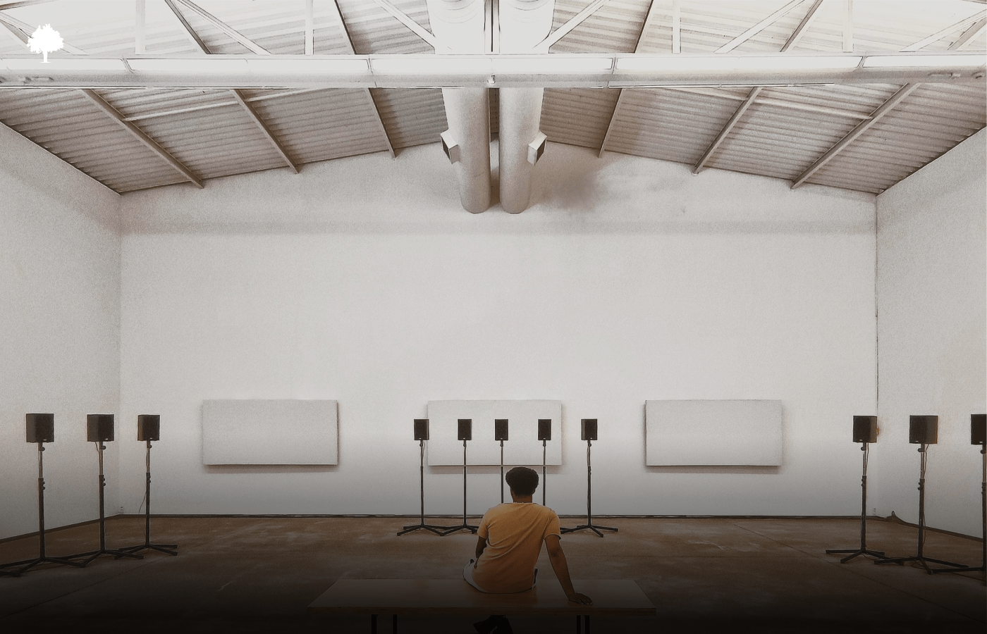 Er det muligt at lydisolere et hus uden at bruge plastik?