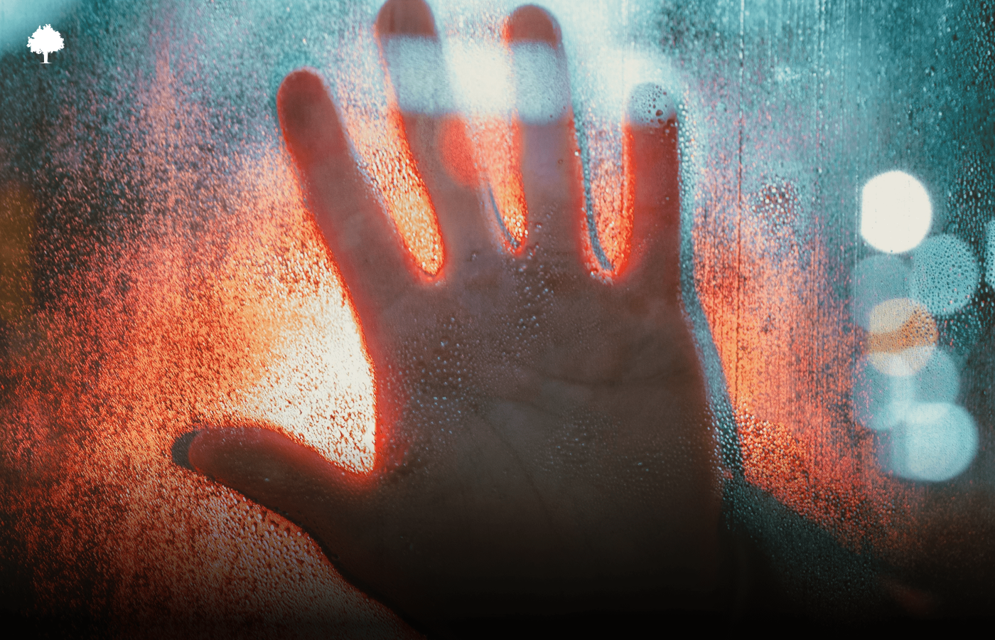 Hvordan hjlper ekspanderet kork personer med sensorisk overflsomhed?