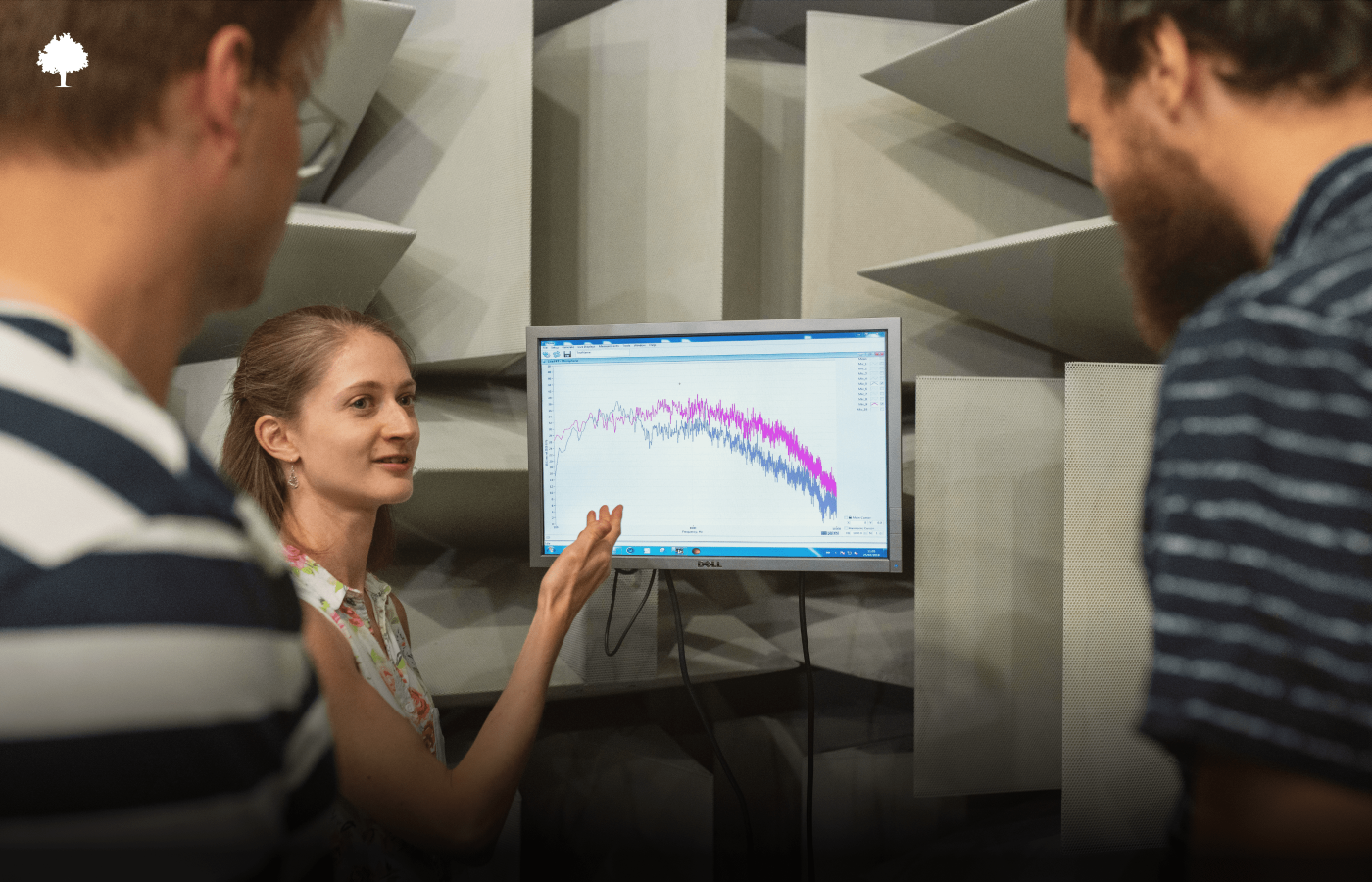 Hvad er akustisk design?