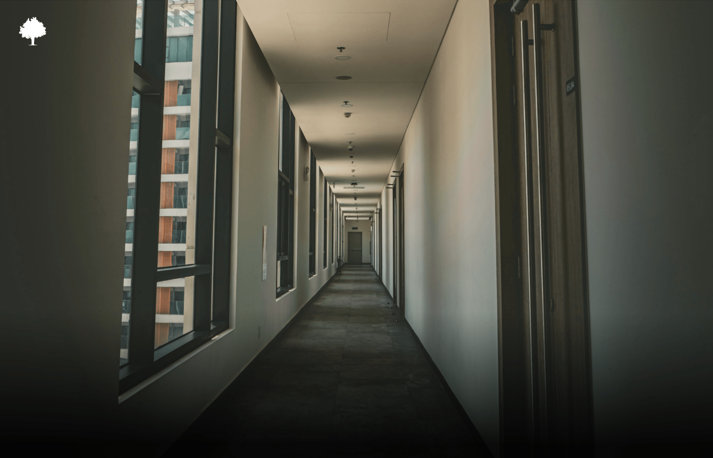 Hvad fungerer p vggene i gangen? Guide 2025