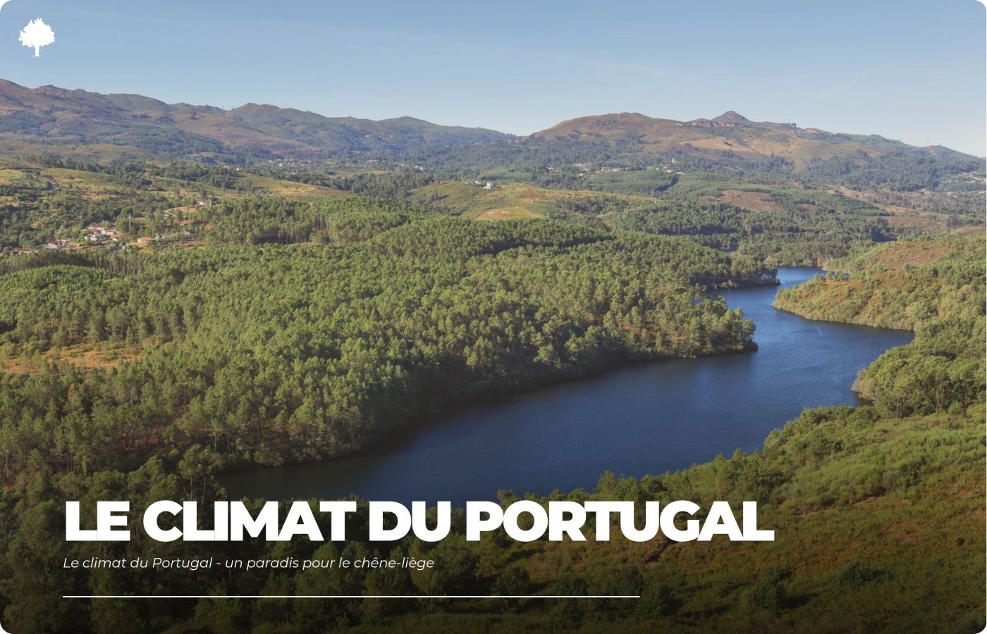 Portugals klima  et paradis for korkegen