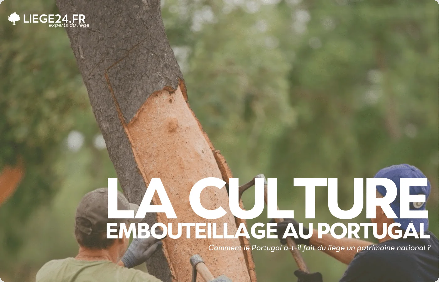 Hvordan gjorde Portugal kork til en national arv?