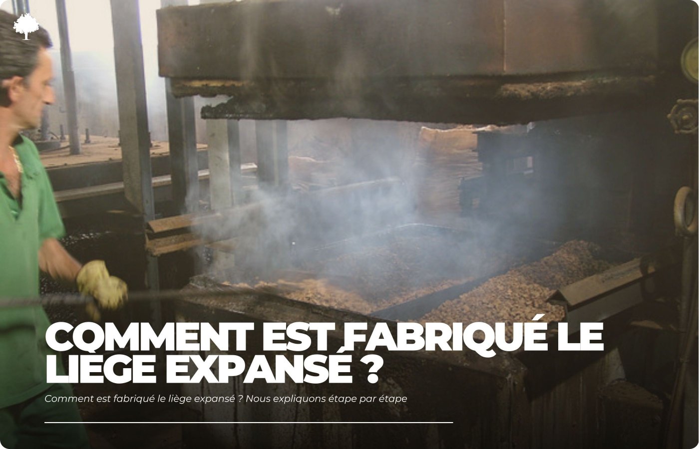 Hvordan fremstilles ekspanderet kork? Vi forklarer trin for trin