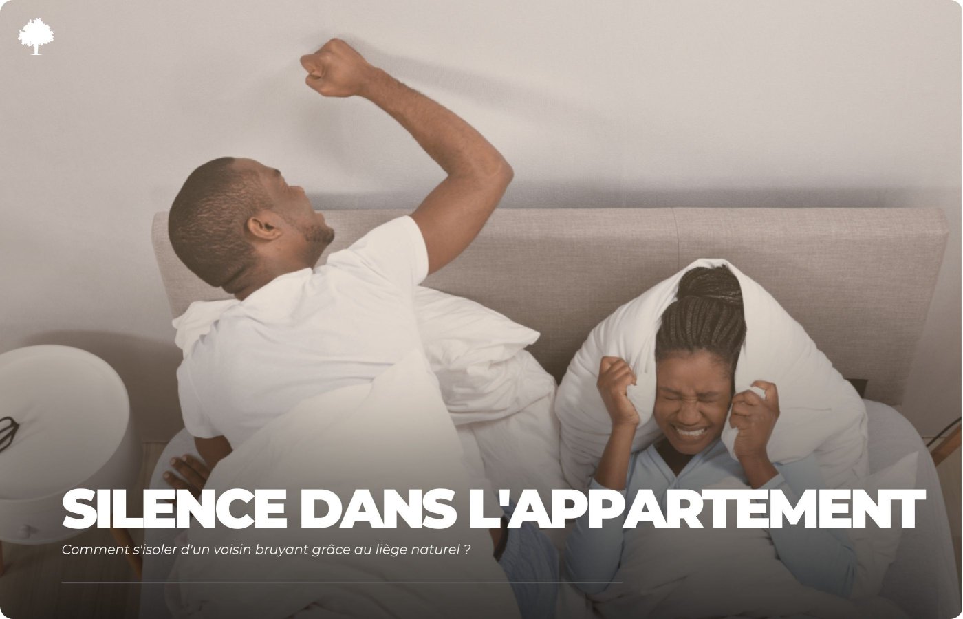 Hvordan isolerer du dig fra en larmende nabo med naturlig kork?