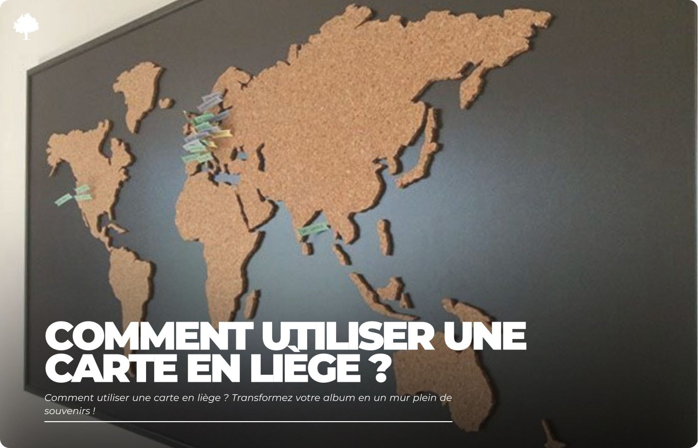 Hvordan bruger man et korkkort? Skift albummet ud med en vg fuld af minder!