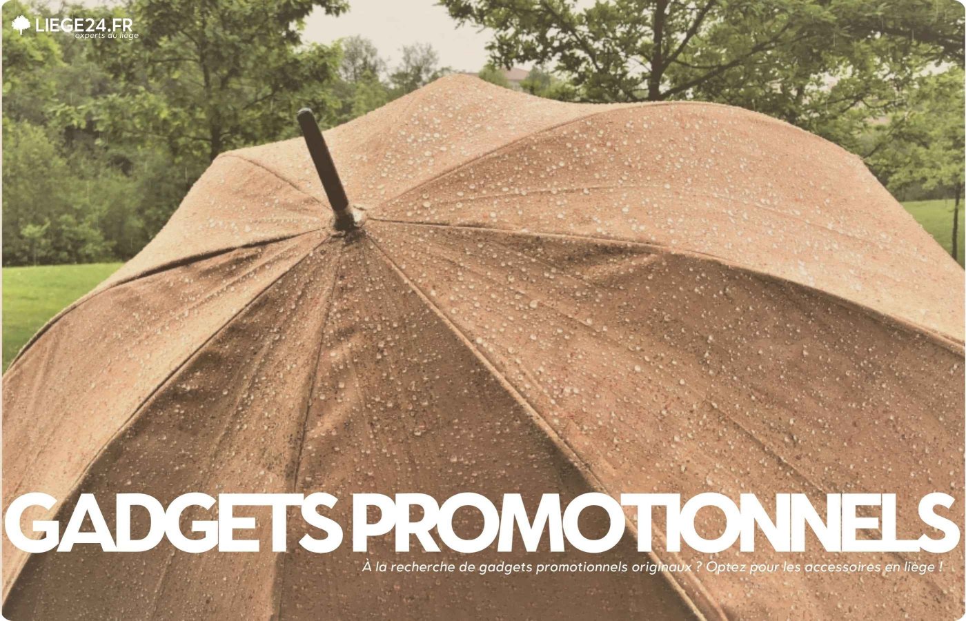 Reklamegadgets 2024: Tendenser, effektivitet og miljvenlige korklsninger