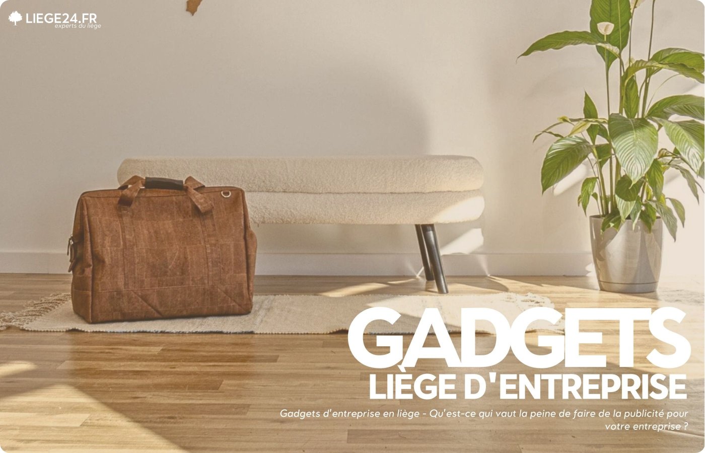 ko-gadgets af kork - hvad er vrd at reklamere for din virksomhed med?