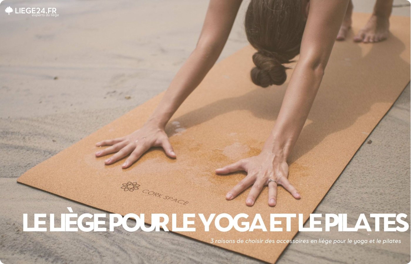 Korktilbehr: Trends 2024, fordele og anvendelser | Det kologiske valg