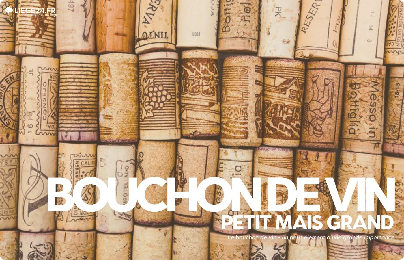 Vinproppen - et lille element med stor betydning