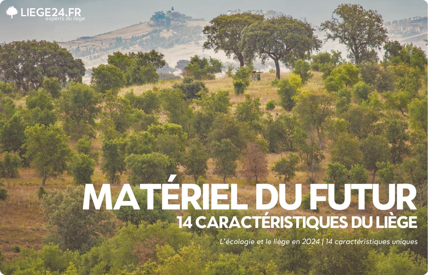 kologi og kork i 2024 | 14 unikke funktioner