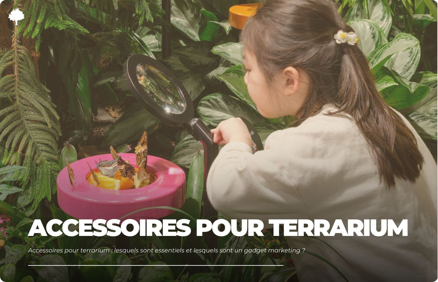 Terrariumtilbehr  ndvendige eller blot marketing?