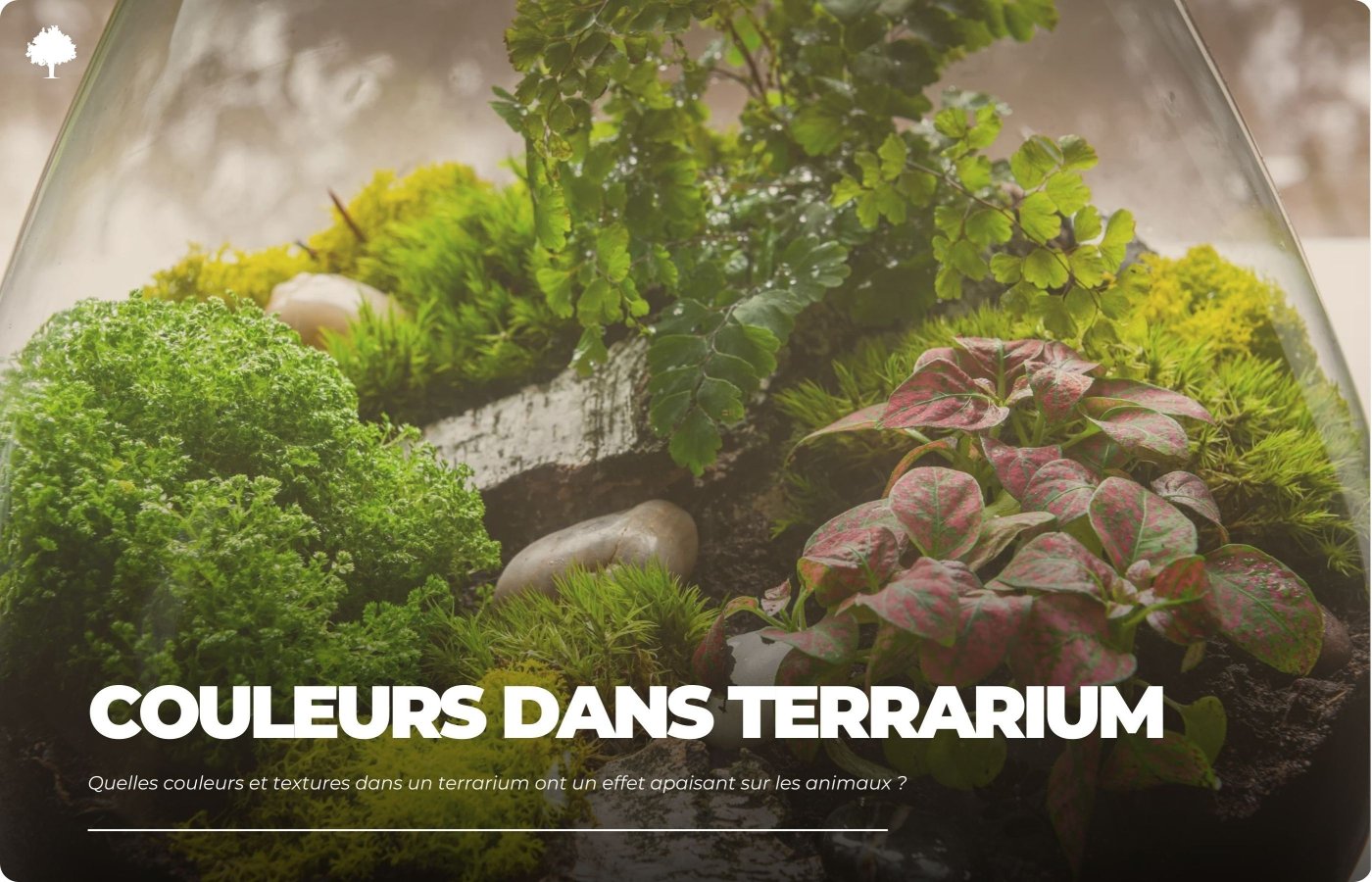 Hvilke farver og teksturer i et terrarium har en beroligende effekt p dyr?