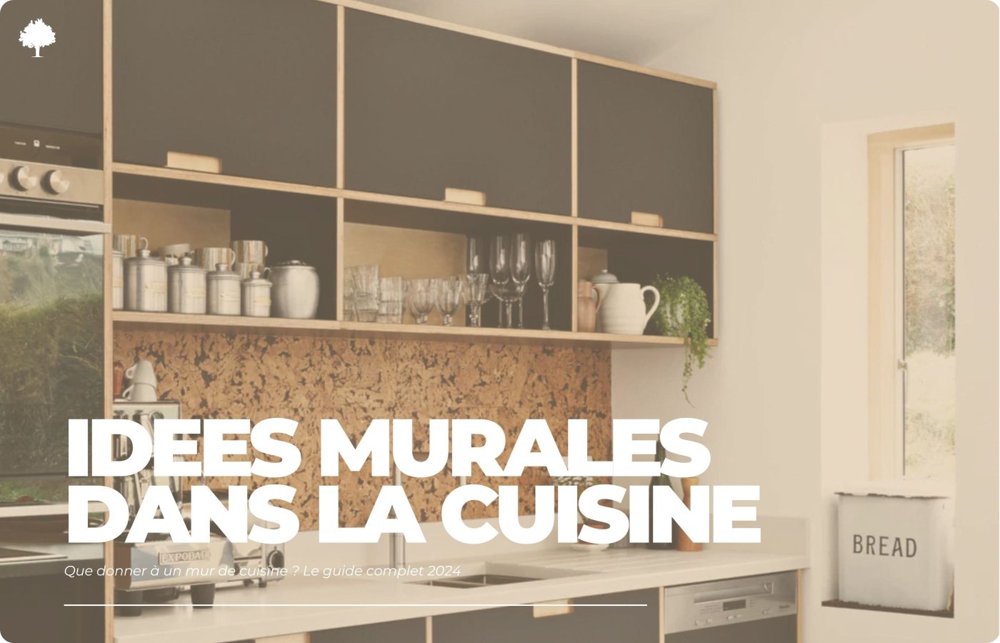 Hvad skal man give til en kkkenvg? Den komplette guide 2024