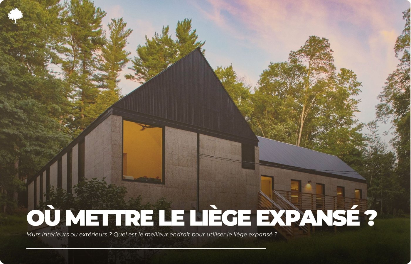 Indvendige eller udvendige vgge? Hvor er det bedst at bruge ekspanderet kork?