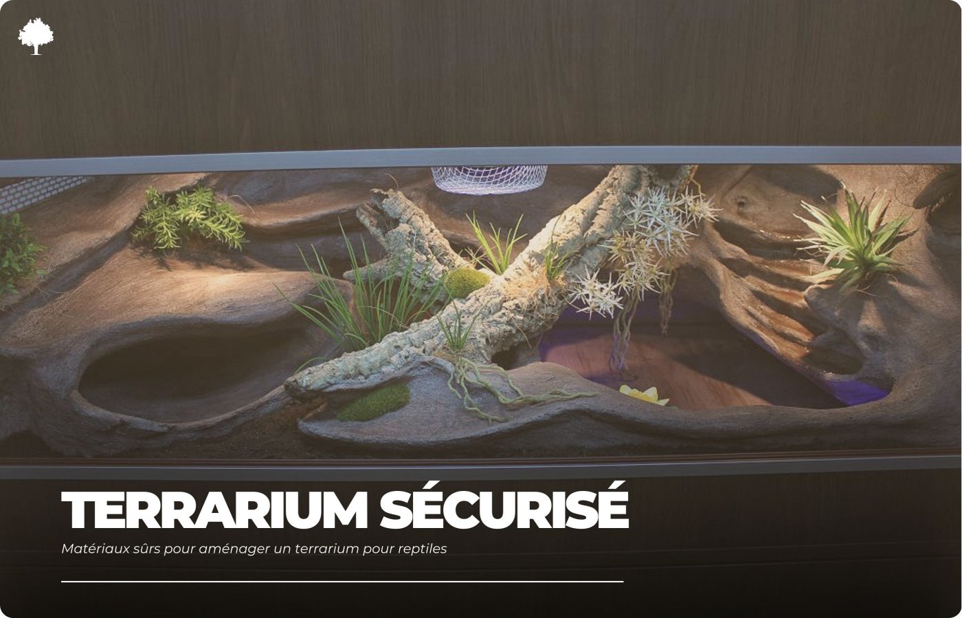 Sikre materialer til indretning af terrarium til krybdyr