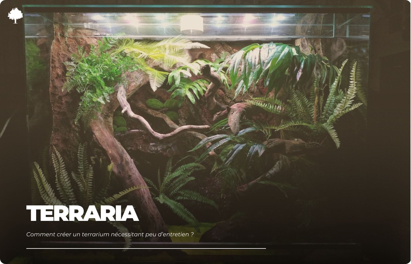 Hvordan laver man et 