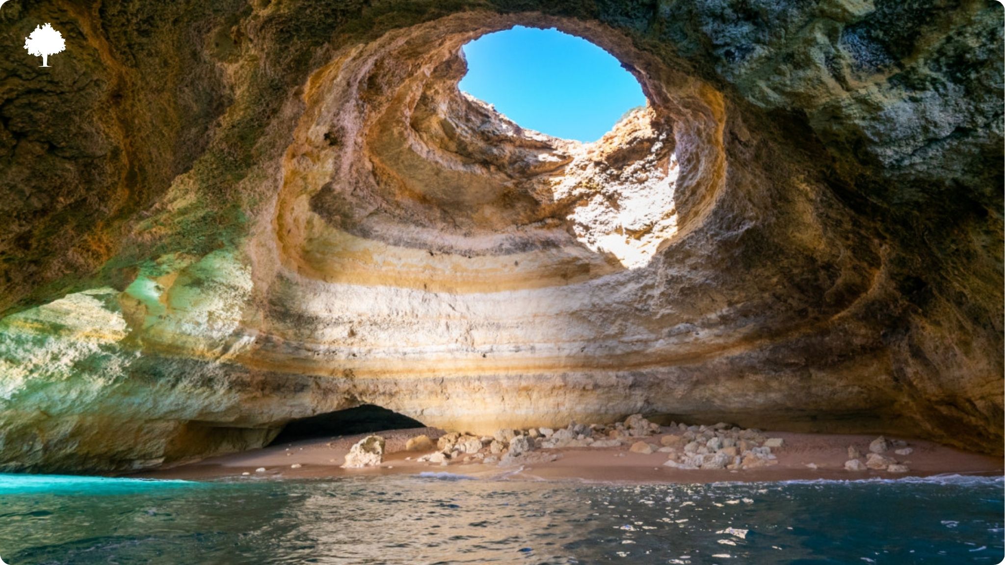 Comment le Portugal a-t-il fait du lige un patrimoine national ?