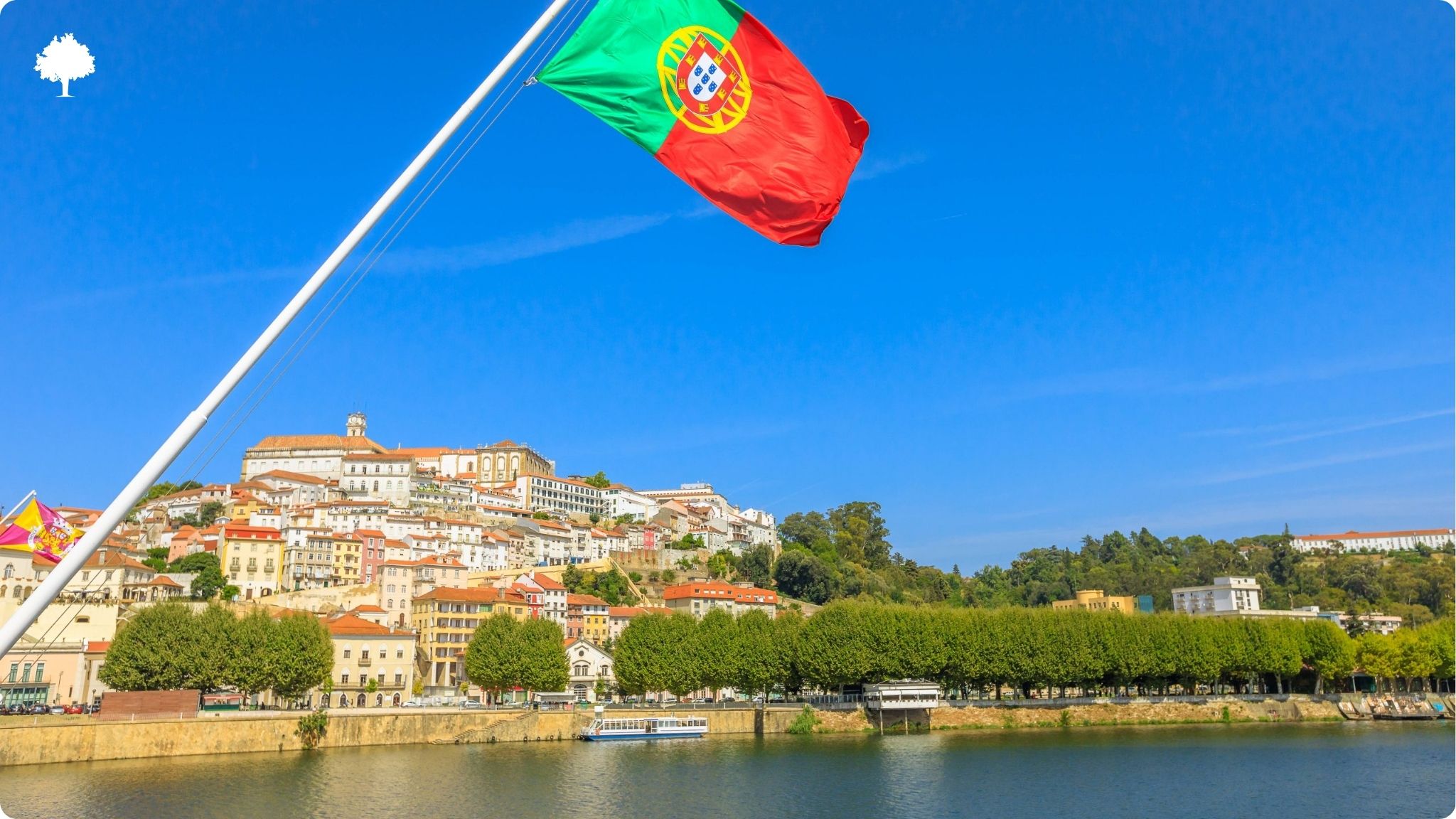 Comment le Portugal a-t-il fait du lige un patrimoine national ?