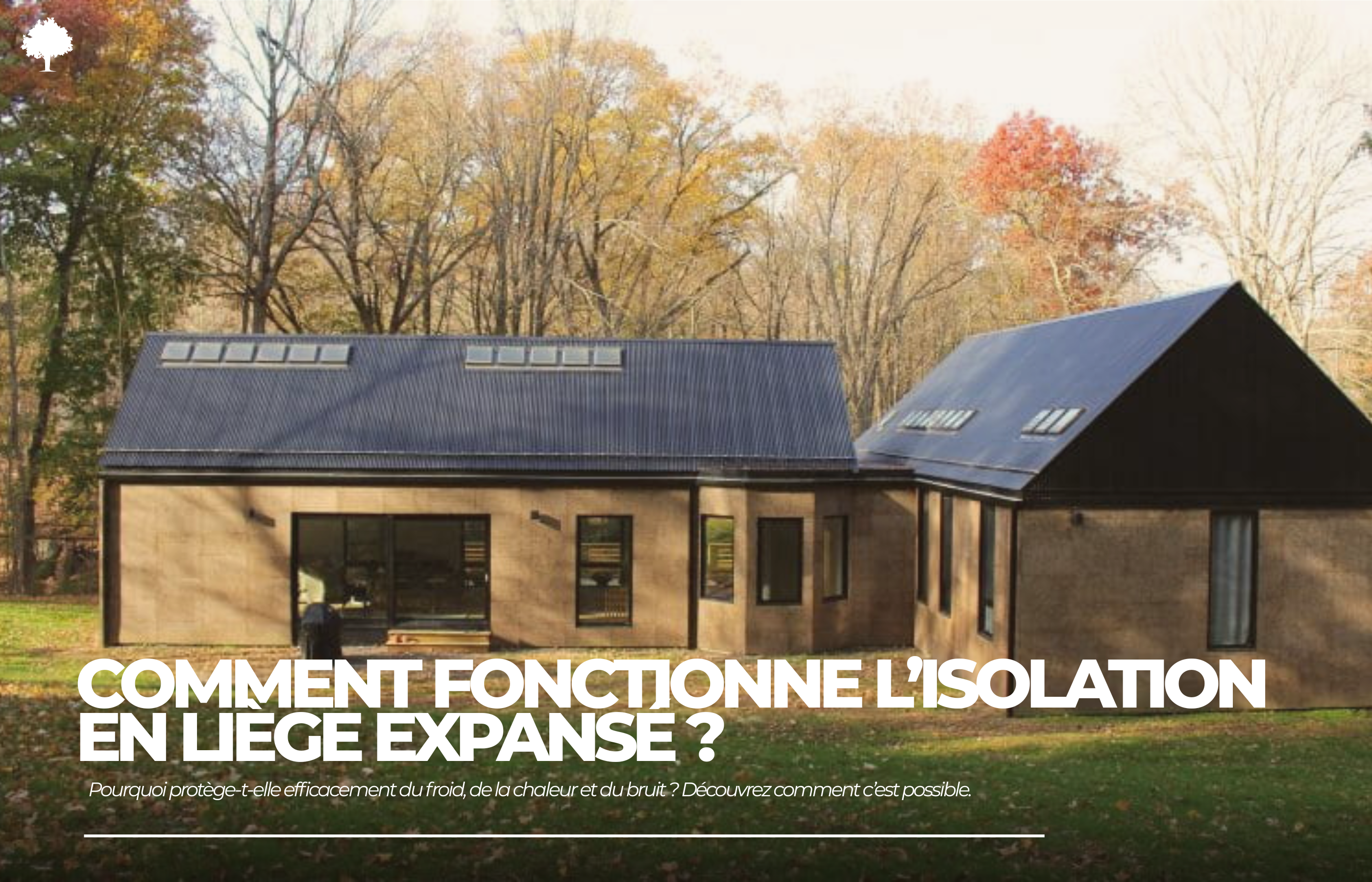 Isolation en li�ge expans�