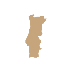 Pictogramme de la silhouette stylise du Portugal en brun clair.