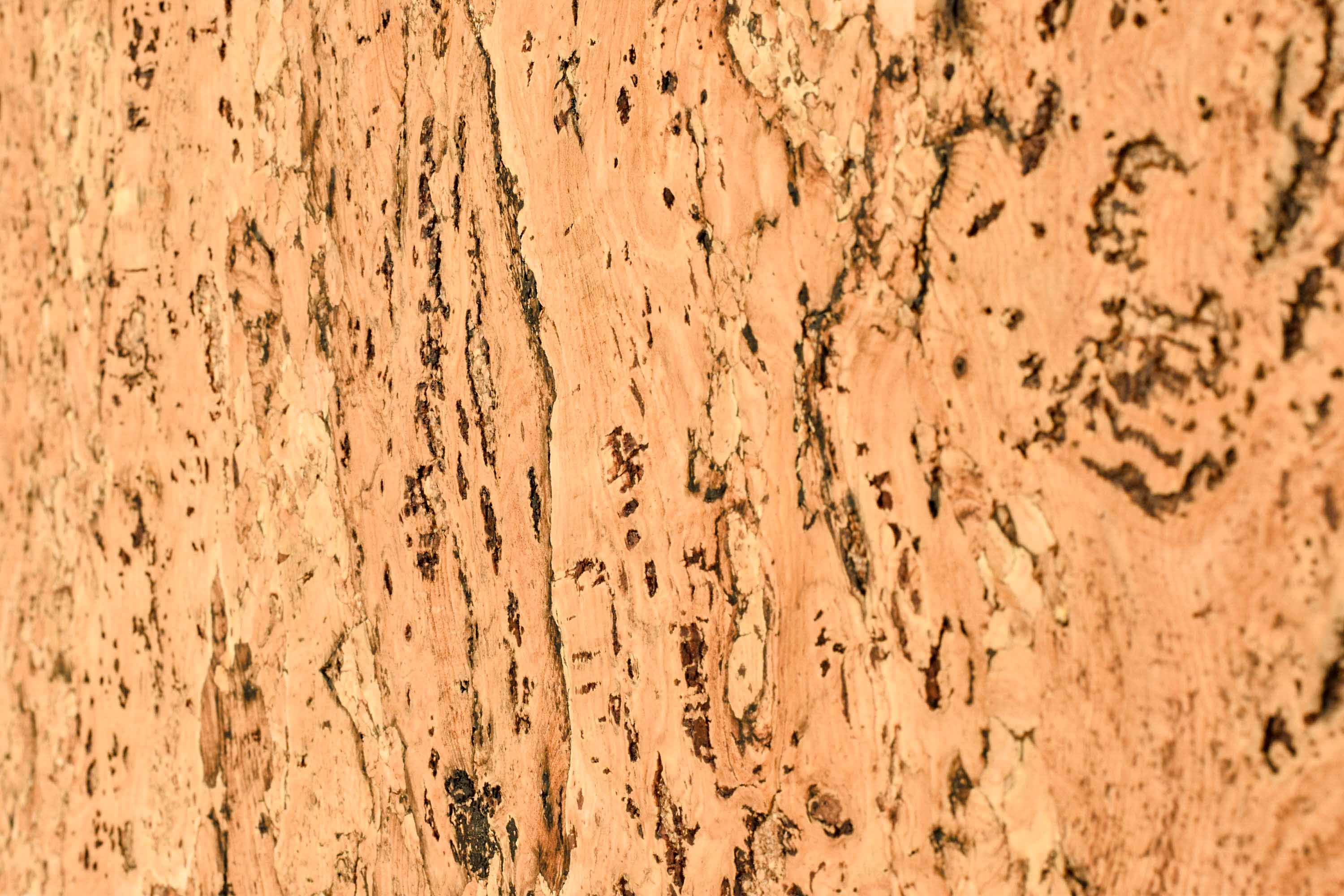 Decorative cork wall tiles VARIO ROJO 3x300x600mm - package 1,98 m2