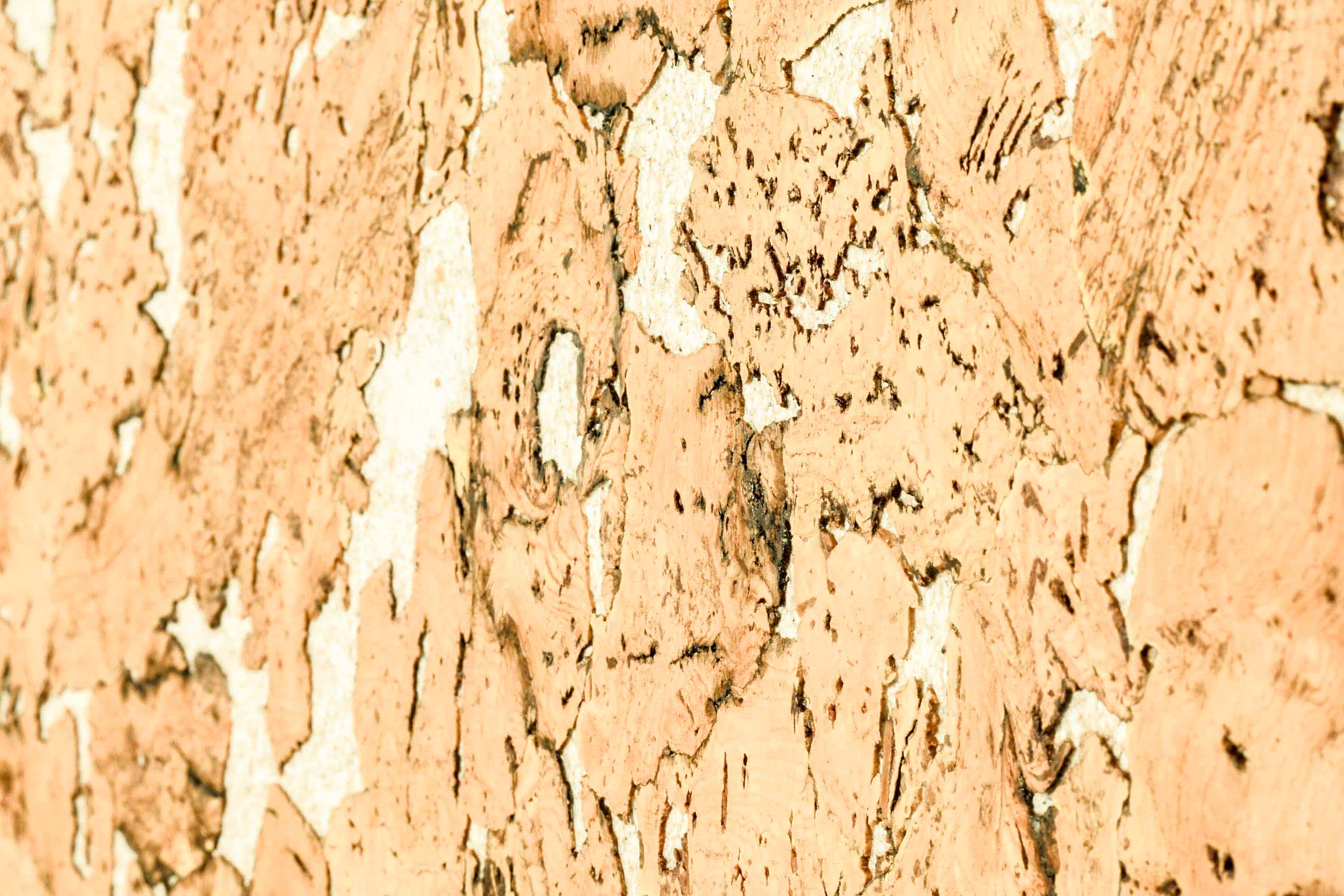 Laminas de corcho para paredes VARIO BLANCO 3x300x600mm