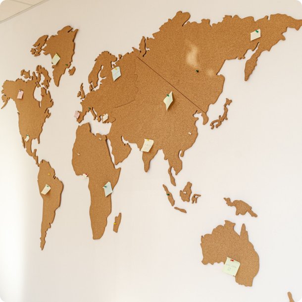 Carte du monde en lige 164x300cm