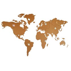 Carte du monde en lige 164x300cm