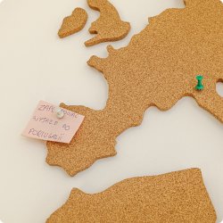 Carte du monde en lige 164x300cm