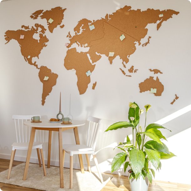 Carte du monde en lige 164x300cm