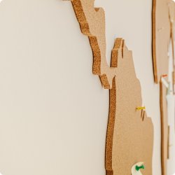 Carte du monde en lige 164x300cm