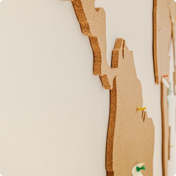 Carte du monde en lige 164x300cm