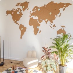 Carte du monde en lige 164x300cm